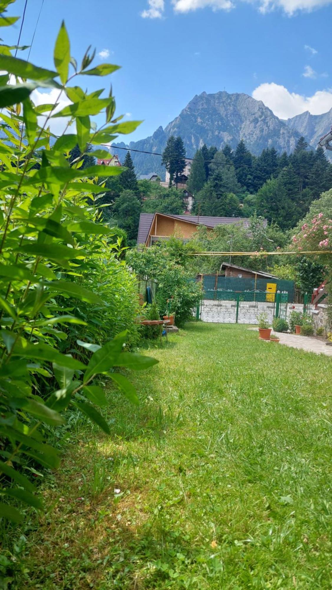 Casa Tex Villa Busteni Exterior photo